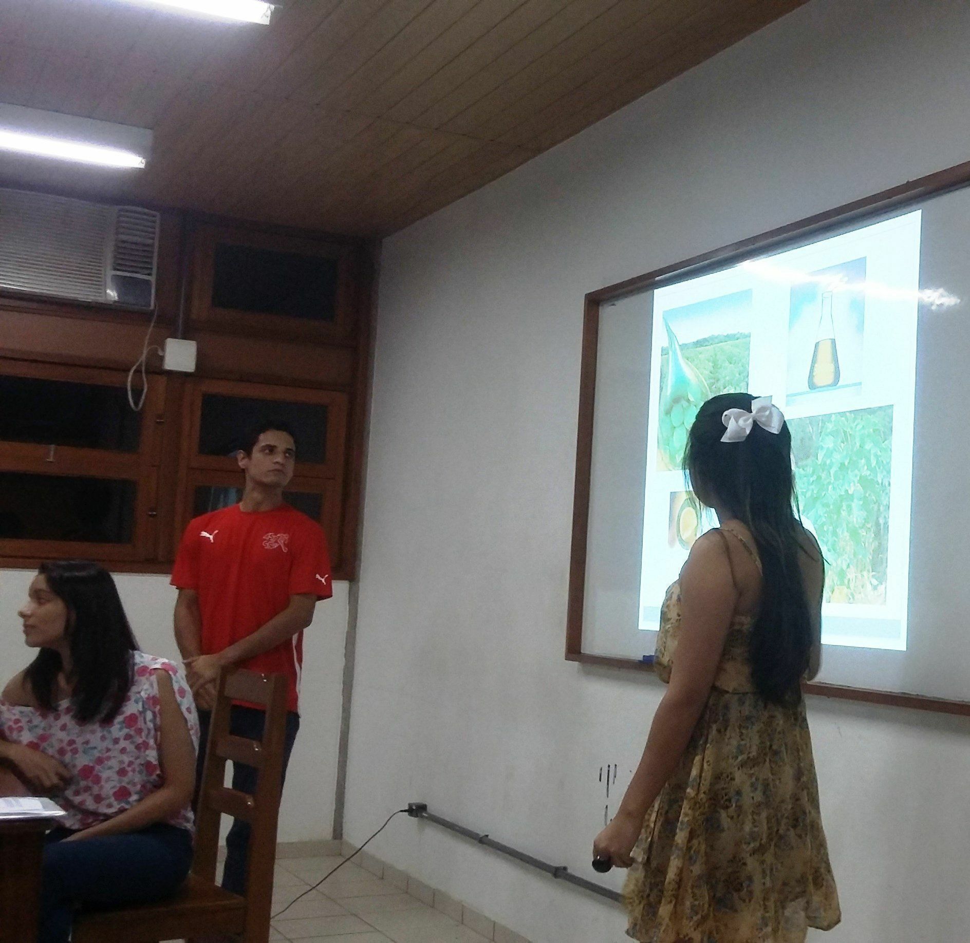 Projeto utiliza pinhão como matéria-prima